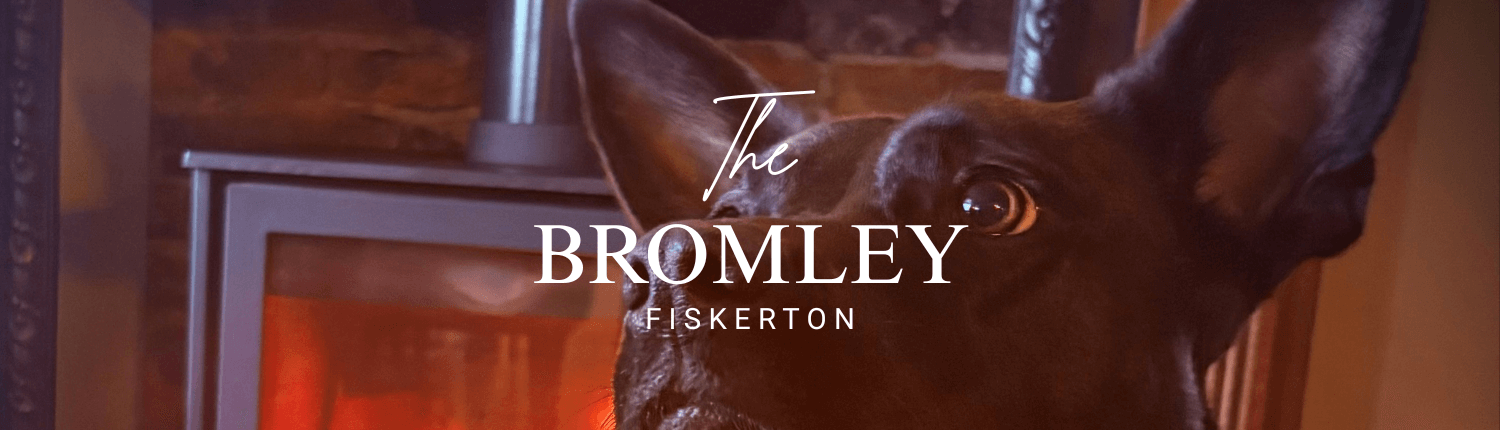 Pet Friendly Bromley Pet friendly bromley